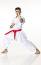 TOKAIDO Kata Master Duo - Karate-Anzug Set
