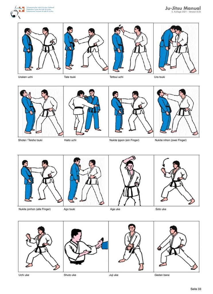SJV Ju-Jitsu Manual