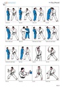 SJV Ju-Jitsu Manual