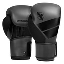 HAYABUSA S4 - Boxhandschuhe