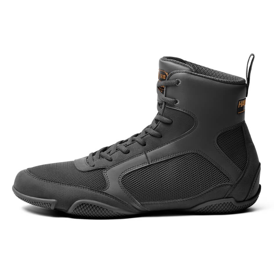 HAYABUSA Pro - Boxschuhe