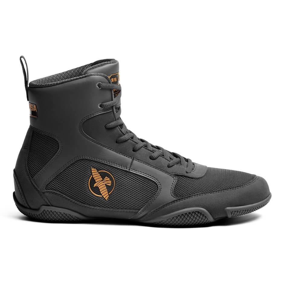 HAYABUSA Pro - Boxschuhe