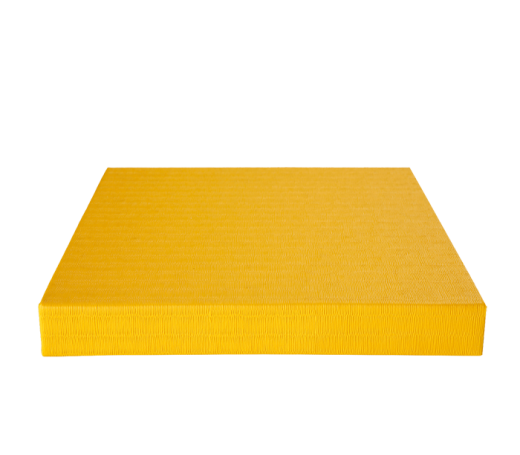 Agglorex Tatami Matte (Judo / MMA)
