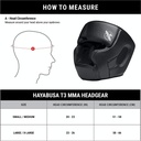 HAYABUSA T3 Kopfschutz (mit Kinnschutz)