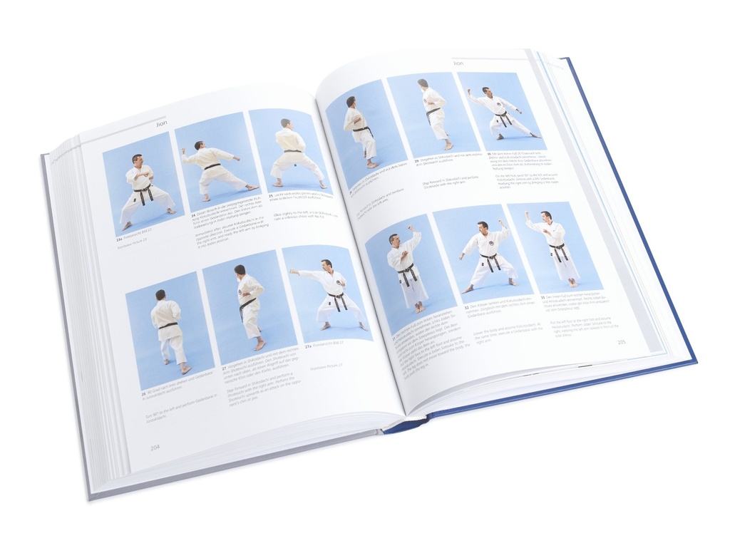 Buch Wadoryu Karatedo - Kihon, Kata, Kumite (Roberto Danubio)