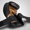 HAYABUSA T3 - Boxhandschuhe (schwarz/gold)