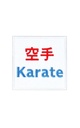 Klett-Patch - Karate